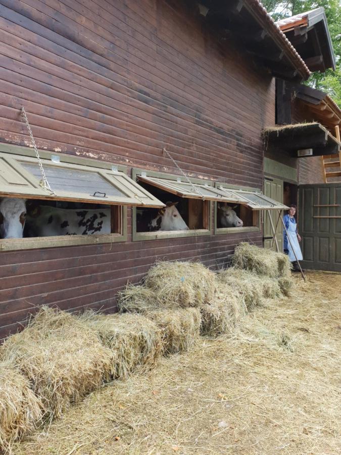 Modern Alpine Monsalbius Chalet Baske Ostarije Ngoại thất bức ảnh